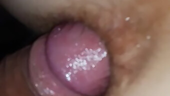 আদম-এভা022 দুটি হোল দিয়ে নকলি হয়।