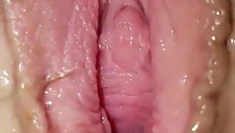 Huge Cock And Wife'S Pawged Pussy: A Cock Loving Couple'S Intense Encounter