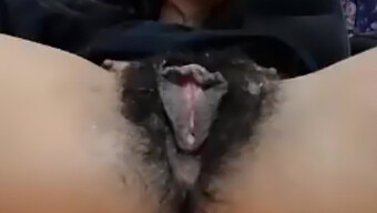 60 Fps Mature Wet Pussy: Amateur Hairy Cunt