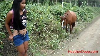 Vidéo Hd D'Une Fille Qui Urine À Côté D'Un Cheval Dans La Forêt