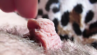 Masturbation With A Close-Up View Of The Hairy Clit